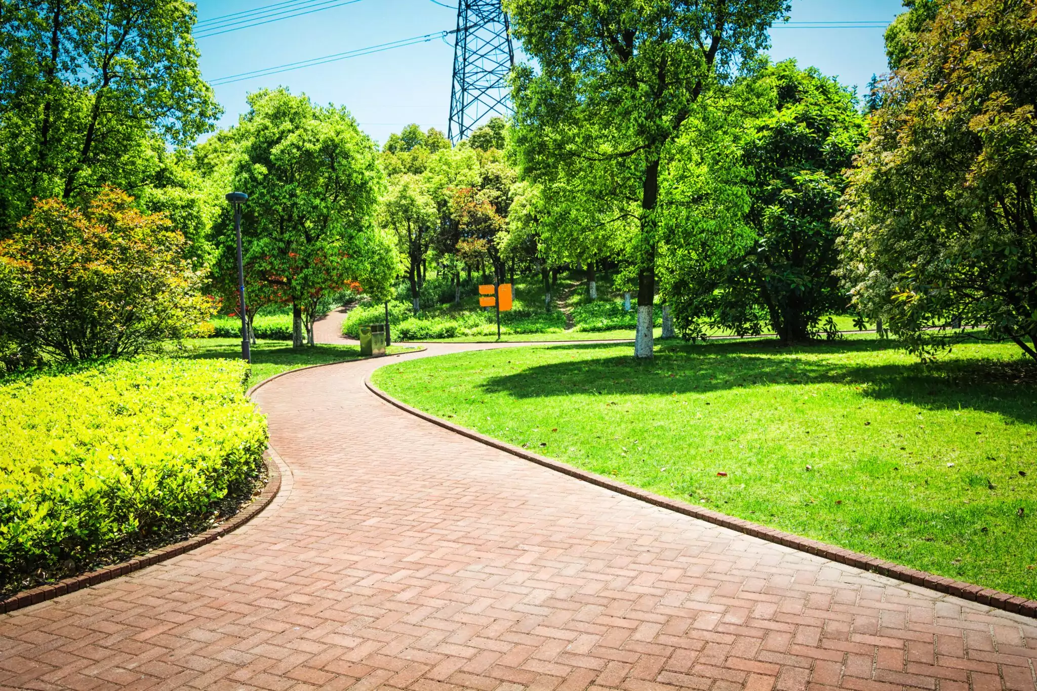 Tree-lined paved path through a green park