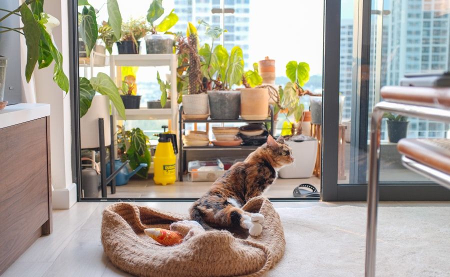 Pet-Friendly Apartments