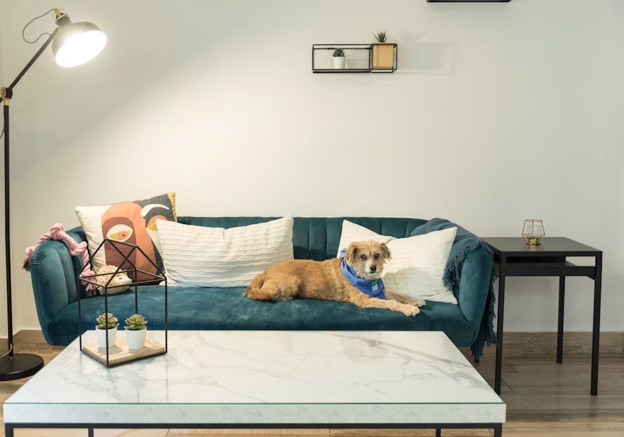 Photo Pet-Friendly Apartments
