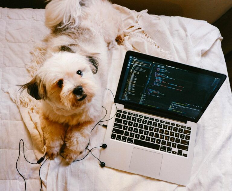 Photo Work-From-Home